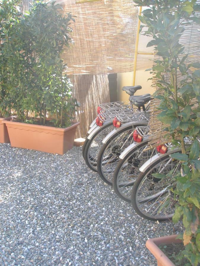B&B La Rondine Tra Pisa E Lucca San Giuliano Terme Kültér fotó